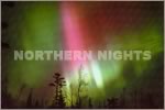 Photo of Northern Nights Note card